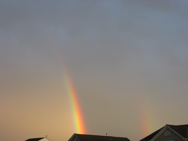 july08 006.jpg
